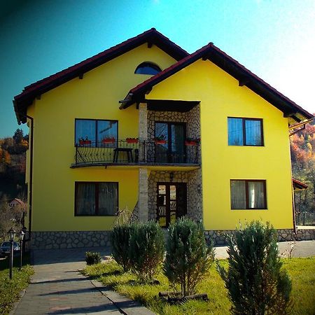 Casa Olteanu Pension Moieciu de Jos Exteriér fotografie