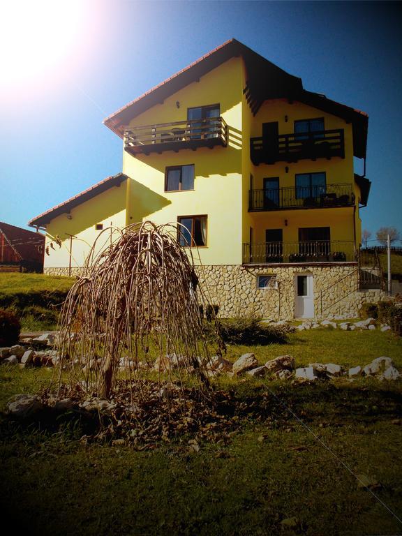 Casa Olteanu Pension Moieciu de Jos Exteriér fotografie