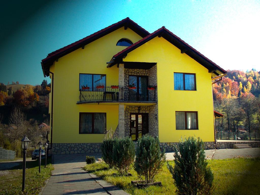 Casa Olteanu Pension Moieciu de Jos Exteriér fotografie
