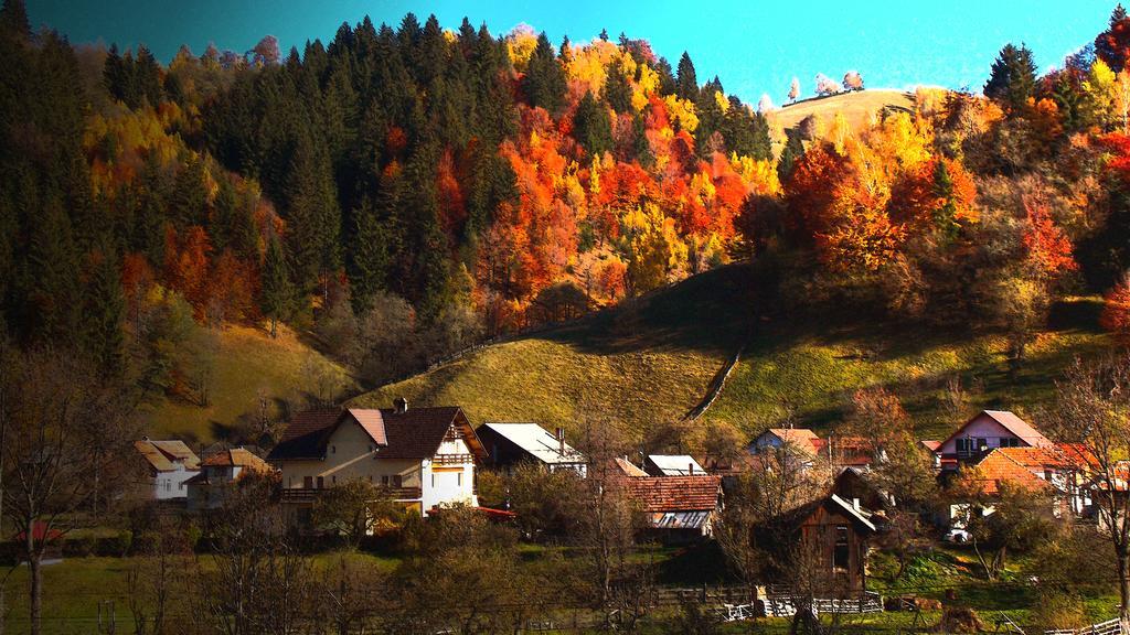 Casa Olteanu Pension Moieciu de Jos Exteriér fotografie